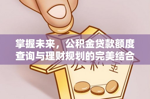 泰山掌握未来，公积金贷款额度查询与理财规划的完美结合