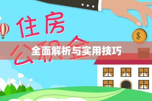 泰山全面解析与实用技巧