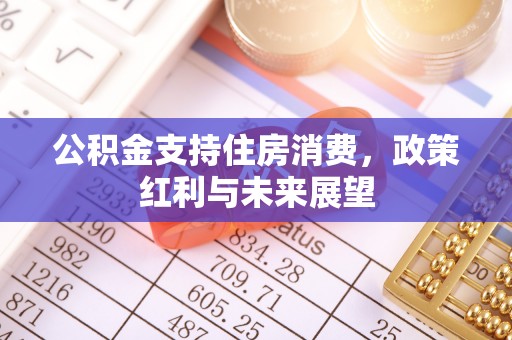 泰山公积金支持住房消费，政策红利与未来展望