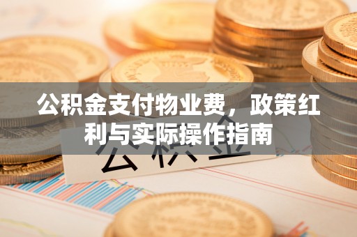 泰山公积金支付物业费，政策红利与实际操作指南