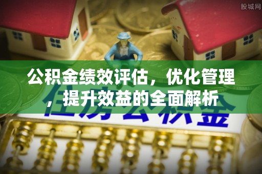 泰山公积金绩效评估，优化管理，提升效益的全面解析