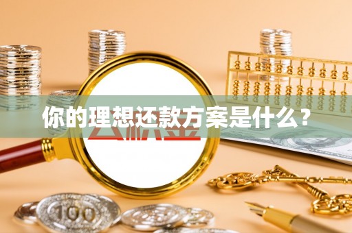 泰山你的理想还款方案是什么？