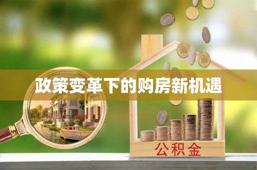 泰山政策变革下的购房新机遇