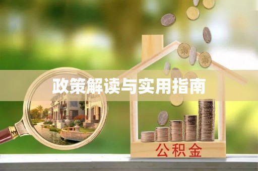 泰山政策解读与实用指南