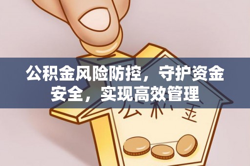 泰山公积金风险防控，守护资金安全，实现高效管理