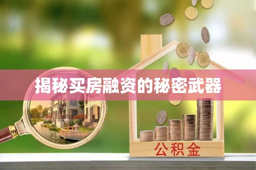 泰山揭秘买房融资的秘密武器
