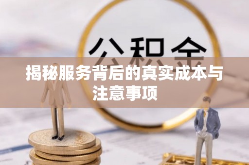 泰山揭秘服务背后的真实成本与注意事项
