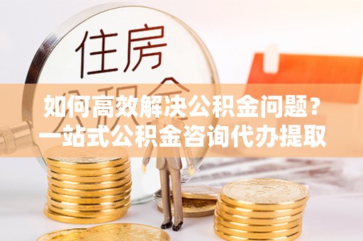 泰山如何高效解决公积金问题？一站式公积金咨询代办提取服务全解析
