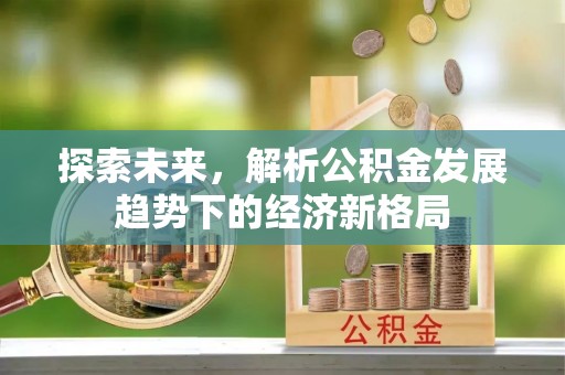 泰山探索未来，解析公积金发展趋势下的经济新格局