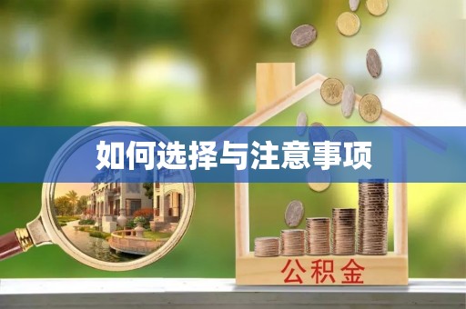 泰山如何选择与注意事项