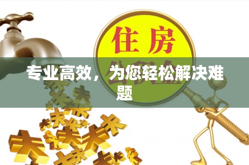 泰山专业高效，为您轻松解决难题