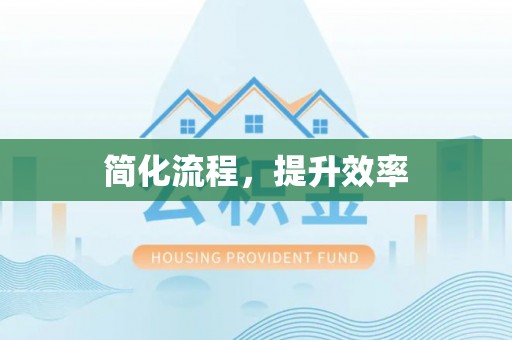 泰山简化流程，提升效率