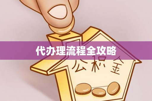 泰山代办理流程全攻略