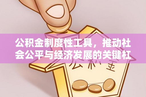 泰山公积金制度性工具，推动社会公平与经济发展的关键杠杆