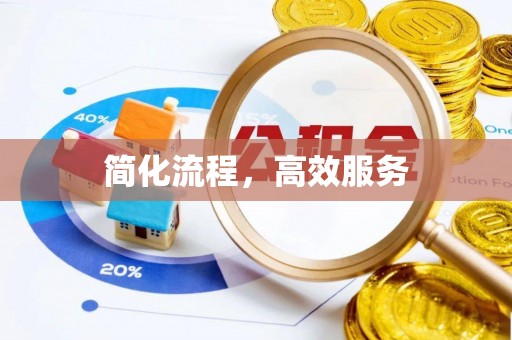 泰山简化流程，高效服务