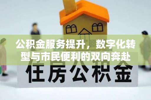泰山公积金服务提升，数字化转型与市民便利的双向奔赴