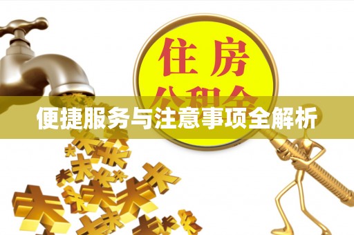 泰山便捷服务与注意事项全解析