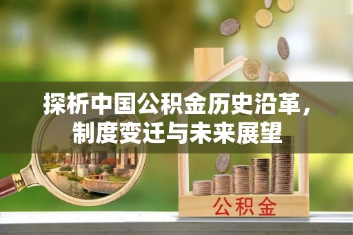 泰山探析中国公积金历史沿革，制度变迁与未来展望