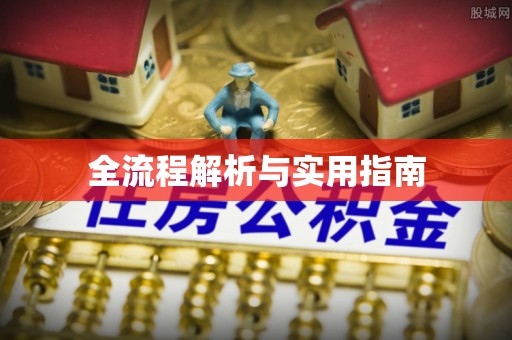 泰山全流程解析与实用指南
