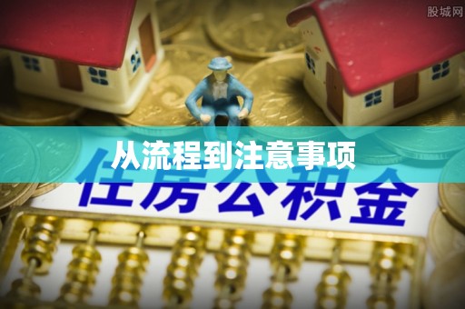 泰山从流程到注意事项