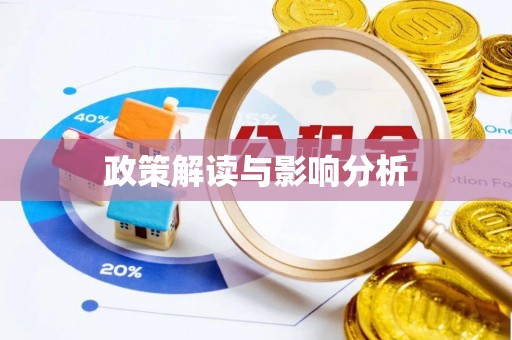 泰山政策解读与影响分析