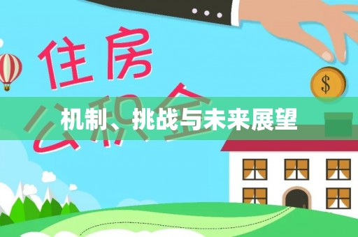 泰山机制、挑战与未来展望