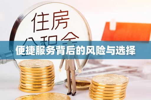 泰山便捷服务背后的风险与选择