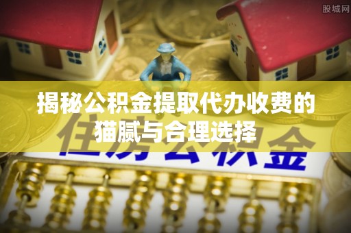 泰山揭秘公积金提取代办收费的猫腻与合理选择