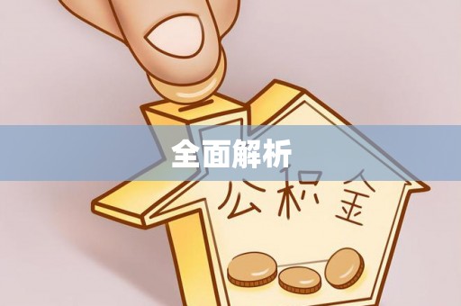 泰山全面解析