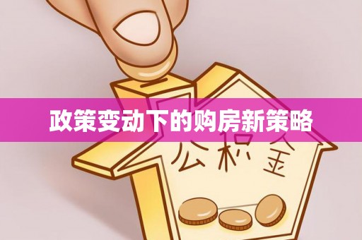 泰山政策变动下的购房新策略
