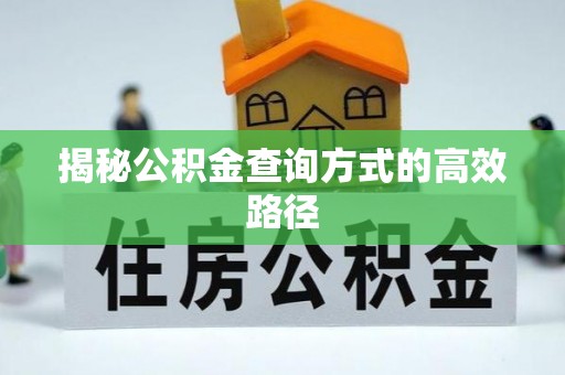 泰山揭秘公积金查询方式的高效路径