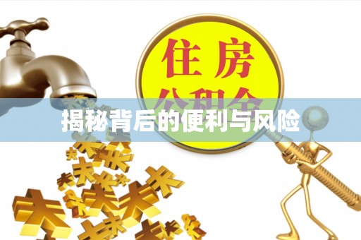 泰山揭秘背后的便利与风险