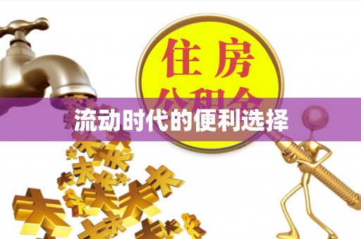 泰山流动时代的便利选择