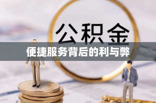 泰山便捷服务背后的利与弊