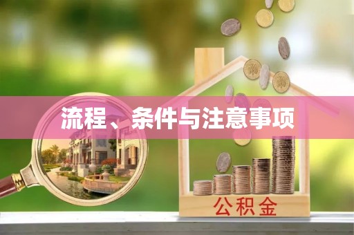 泰山流程、条件与注意事项